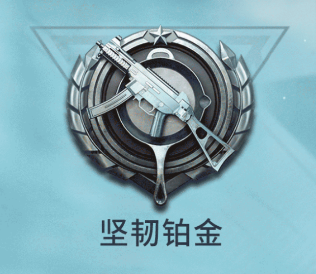 精英队的含义