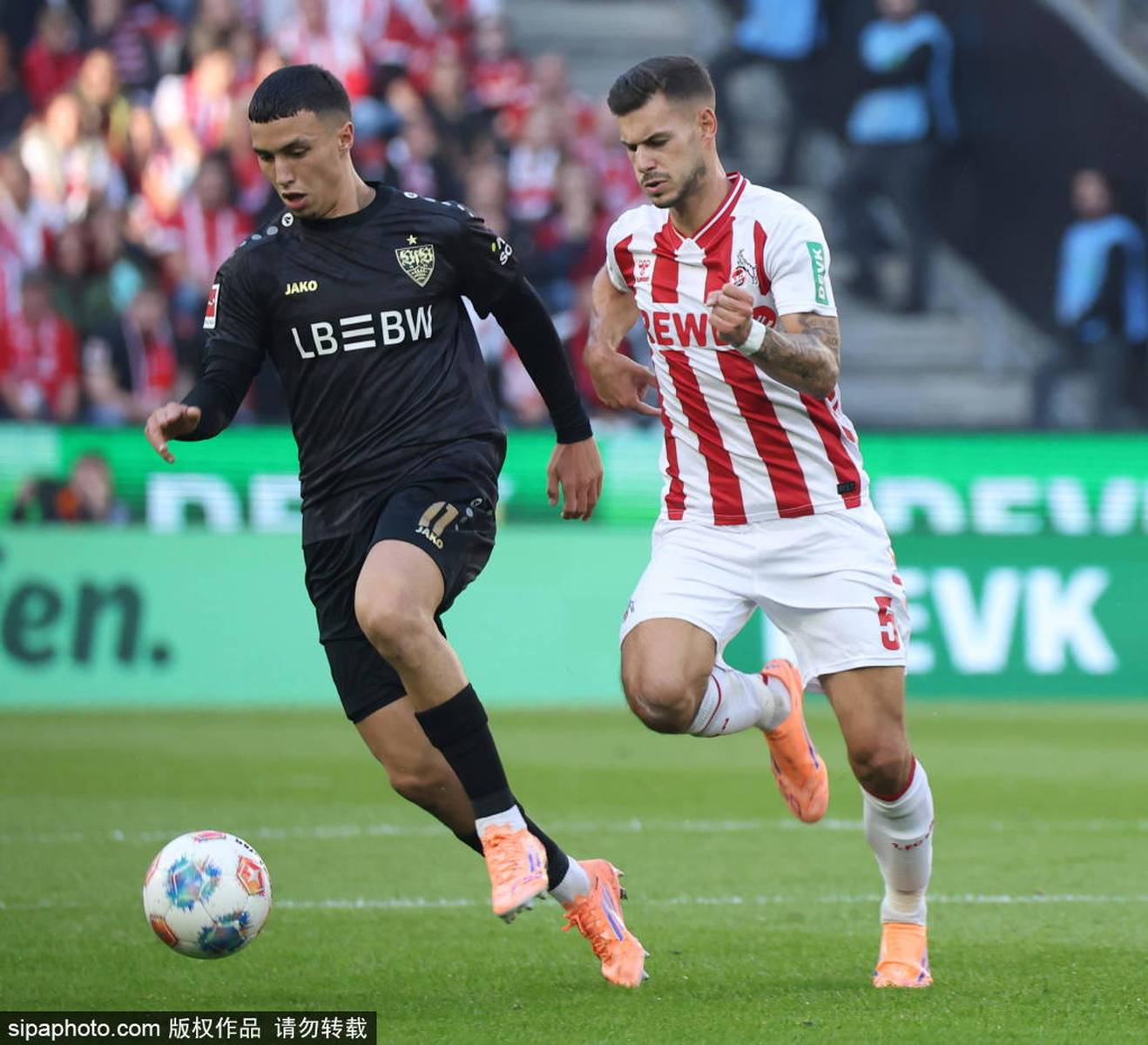 球盟会平台-斯图加特足球俱乐部阵容