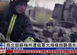 梅苏起重设备上海有限公司