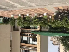 深圳佳兆业阵容2020